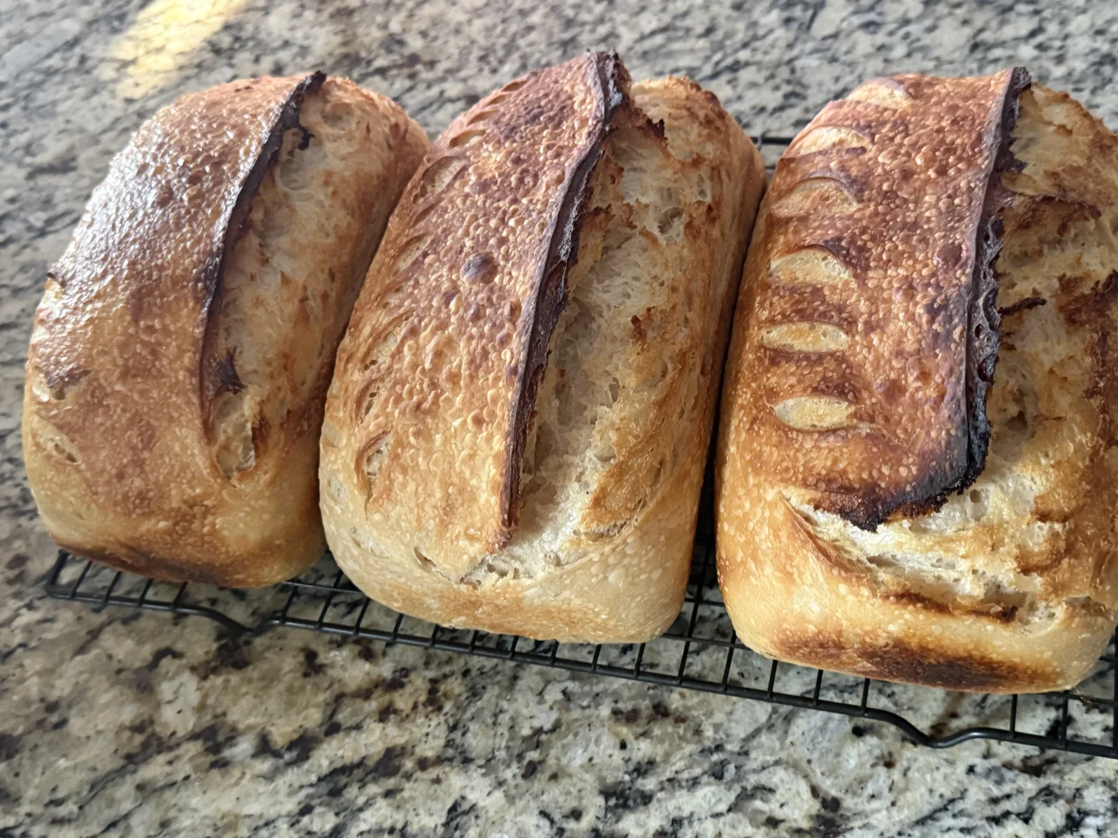 Fresh sourdough loaves cooling together on a rack