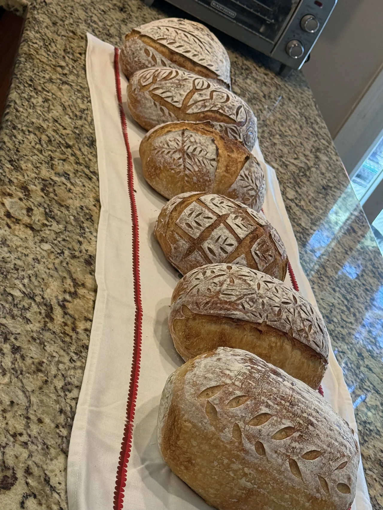 A small batch of hand-scored sourdough loaves lined up after baking